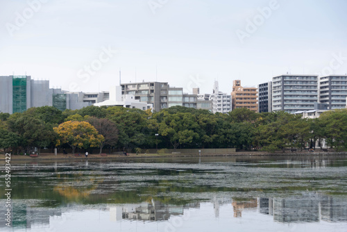 view of city town skyline over the pond lake natural view under daytime in japan  big city with natural lake public