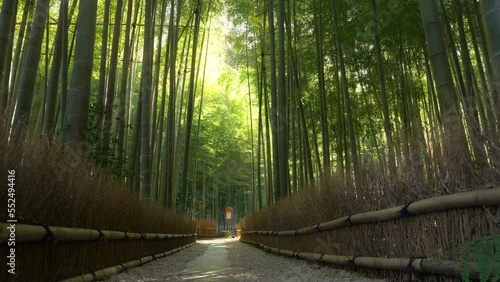 Path in famous bamboo forest in Kyoto, Japan, gimbal shot of a bamboo grove, tourism in Japan, tranquil bamboo forest landscape