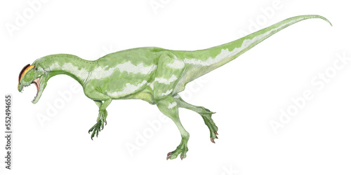 リリエンステルヌスは三畳紀後期（2億1000万年前）に現在のドイツに生息していたコエロフィシス上科の獣脚類恐竜の絶滅属の一つです。体長は約5 メートルで中型の二足歩行の地上性捕食者でした。ヨーロッパで発見された三畳紀の獣脚類としては既知では最も完全で、最大のものの一つである。2022年の新作