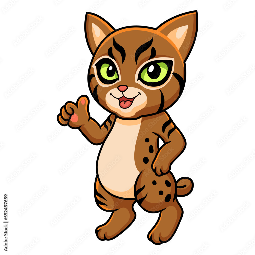 Cute pixie bob cat cartoon giving thumbs up Cute pixie bob cat cartoon giving thumbs up