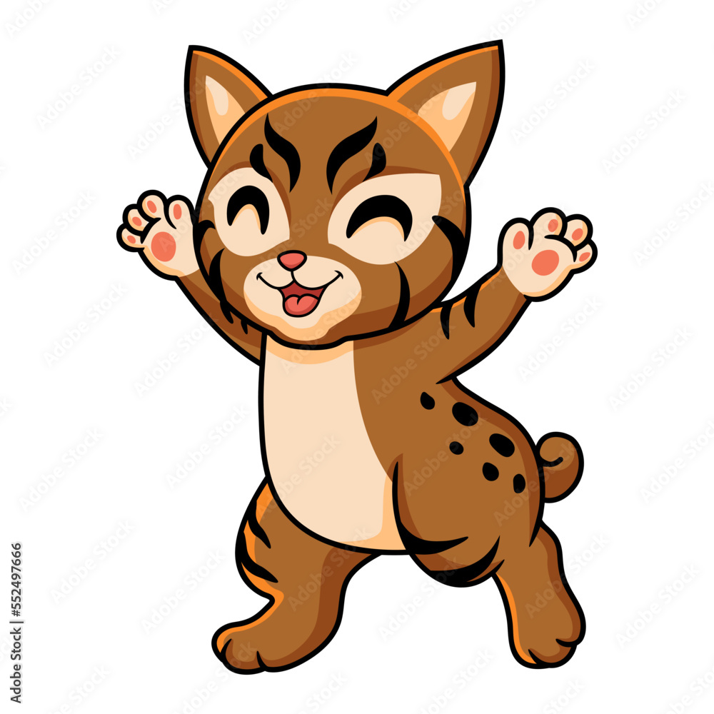 Cute pixie bob cat cartoon Cute pixie bob cat cartoon
