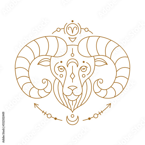 Aries zodiac astrology horoscope stylized sign thin line. Ram symbol of esoteric, zodiacal astrological calendar, horoscope constellation vector illustration