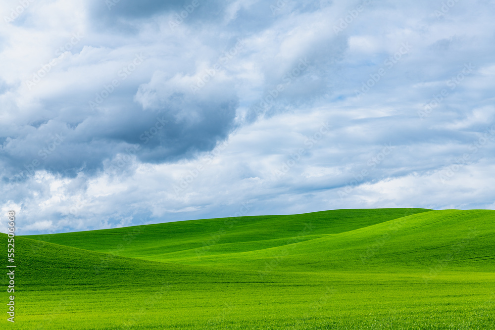 Rural landscape of hills covered in green grass under a dramatic sky