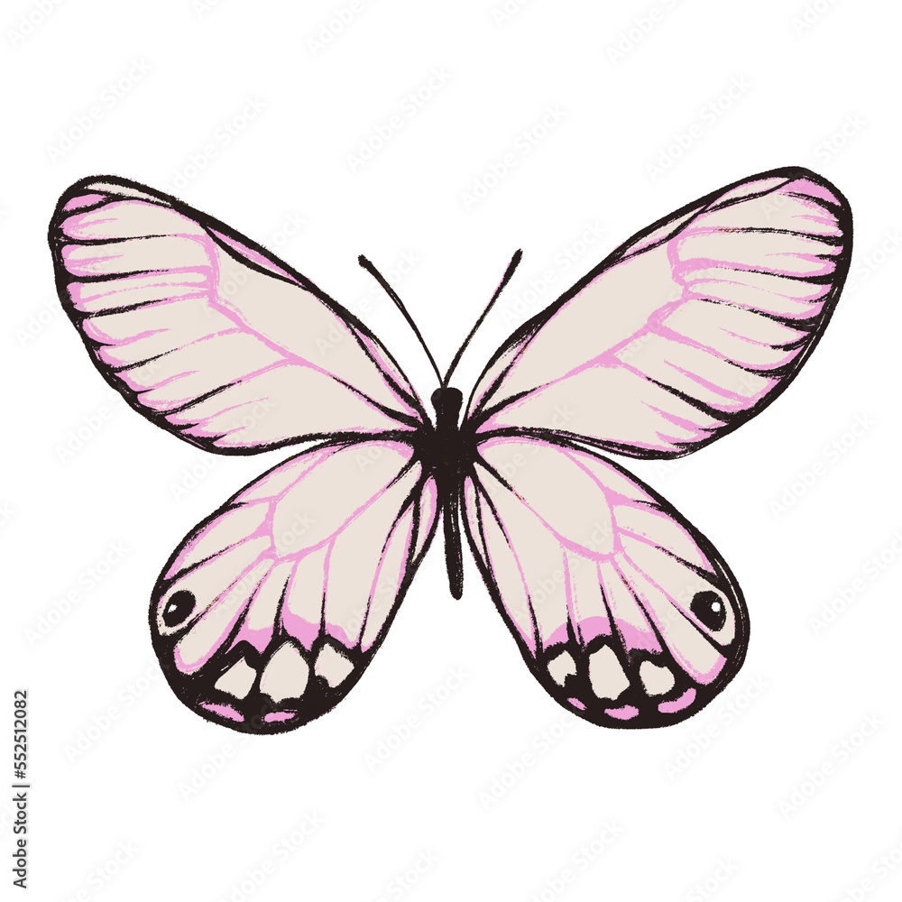 Artistic butterfly, brush and paint texture. High quality illustration Artistic butterfly, brush and paint texture. High quality illustration