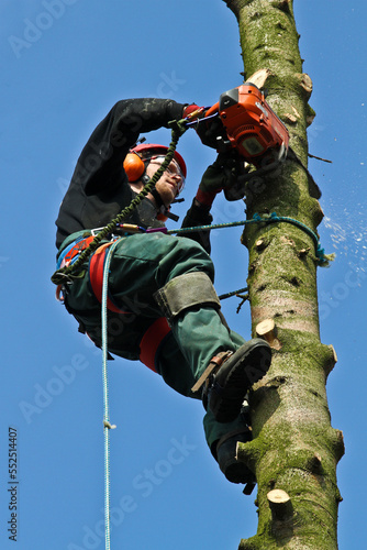 Woodcutter in action in denmark