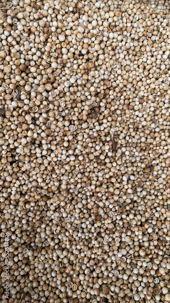 texture of coriander seed texture of coriander seed