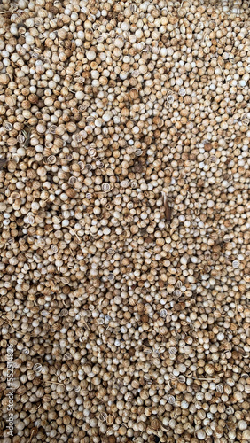 texture of coriander seed