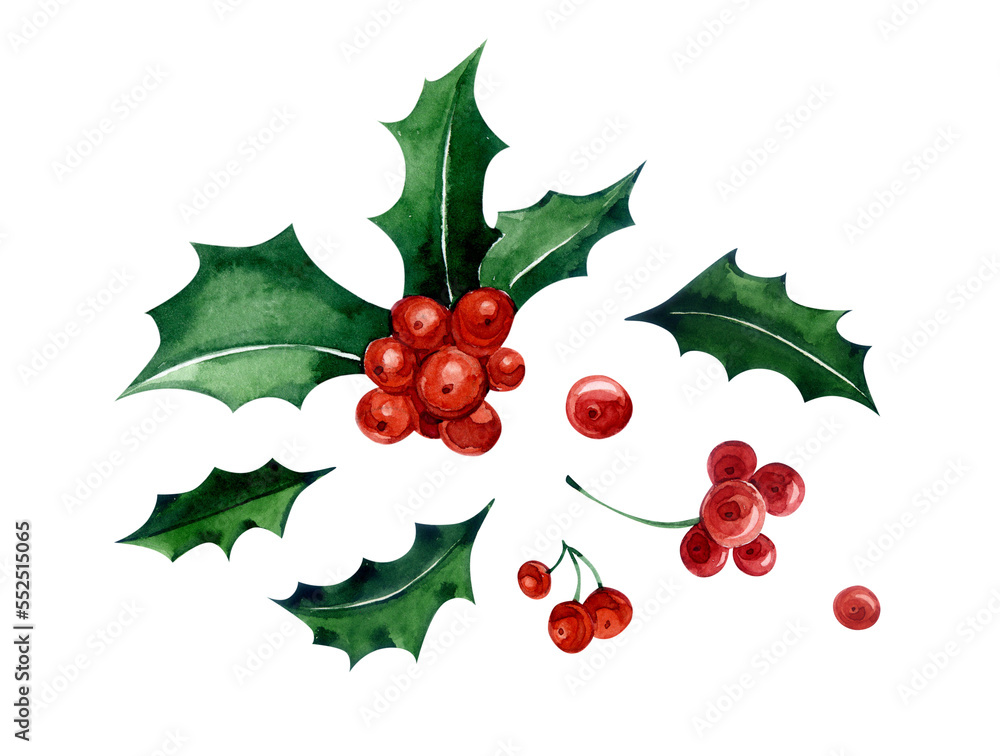 Clipart Holly. Watercolor illustration. Dark green leaves and red Holly berries. For the design of postcards, packaging, websites, stickers, etc. Clipart Holly. Watercolor illustration. Dark green leaves and red Holly berries. For the design of postcards, packaging, websites, stickers, etc.