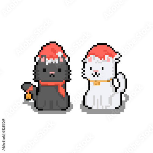 Pixel art christmas cat couple character.