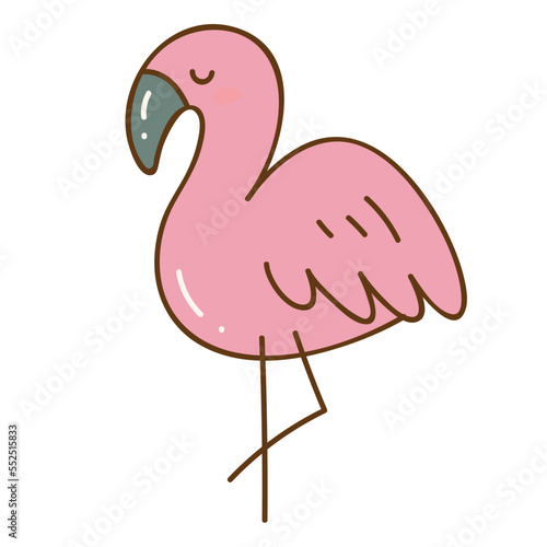 pink flamingo illustration