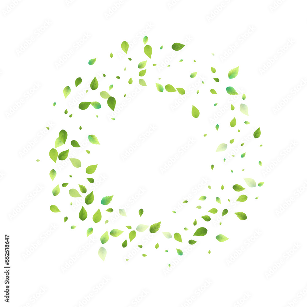 Leaves Green Falling Flying Foliage Leaf Tea Mint Leaves Green Falling Flying Foliage Leaf Tea Mint