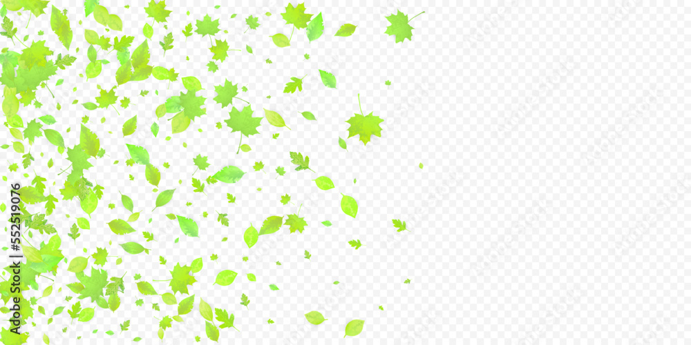 Leaves Falling Spring Flying Foliage Green Leaf Leaves Falling Spring Flying Foliage Green Leaf