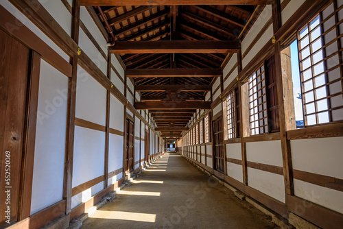                                                 Koukouzan Zuiryu-ji Temple in autumn. Toyama Prefecture  Takaoka city.