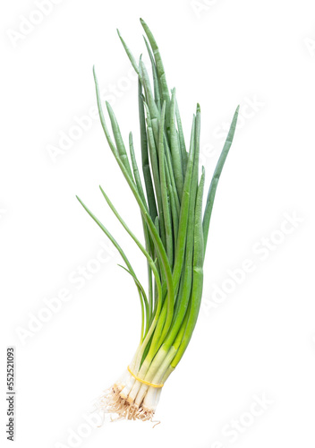 Pack of fresh spring onions isolated on white background. Fresh Green onion isolated. Bunch green onion.