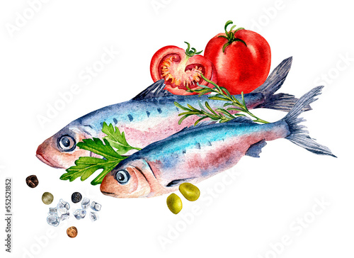 Composition of sardines and spices watercolor illustration isolated on white. Fresh Atlantic fish, tomatoes, parsley, olives hand drawn. Design element for package, label, menu, market, canned fish