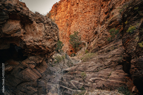 Auf dem Olive Trail - Blick in eine mit Bäumen und Büschen bewachsene Schlucht im Abendrot, Naukluft Gebirge, Namibia