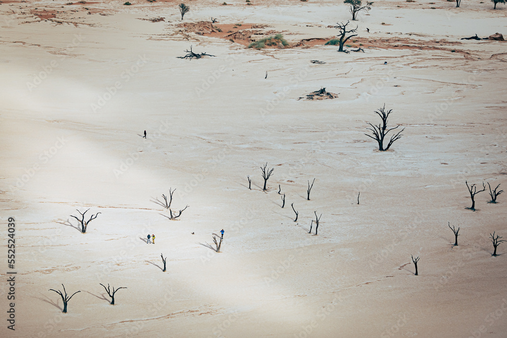 Fototapeta premium Blick in das Deadvlei, in das die ersten Sonnenstrahlen durch den Nebel dringen - Touristen wandern zwischen den toten Bäumen auf der weißlichen Ton-Schluff-Schicht im Deadvlei (Sossusvlei, Namibia)