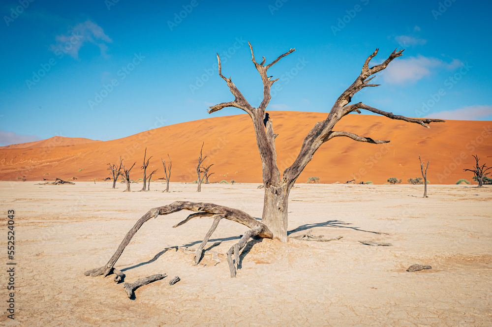 Tote Bäume im Deadvlei (Sossusvlei, Namibia) Tote Bäume im Deadvlei (Sossusvlei, Namibia)
