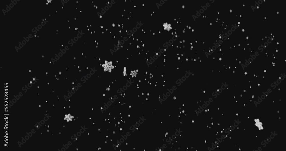 Snowflake Falling With Alpha Channel
Snowflake Falling With Alpha Channel
