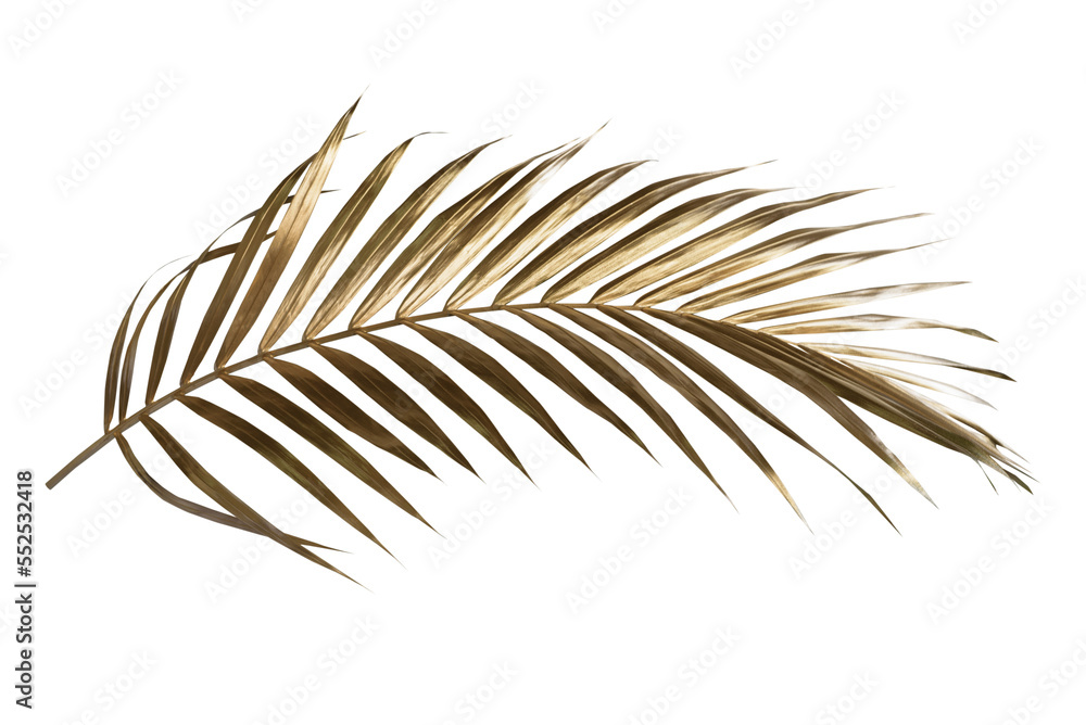 Golden palm leaf PNG on transparent background Abstract monstera leaf
