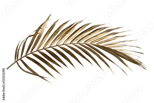 Golden palm leaf PNG on transparent background Abstract monstera leaf decoration design, PNG	