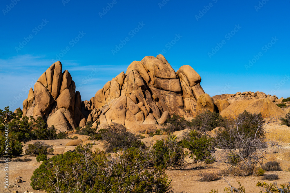Fototapeta premium Joshua Tree National Park, California. USA.