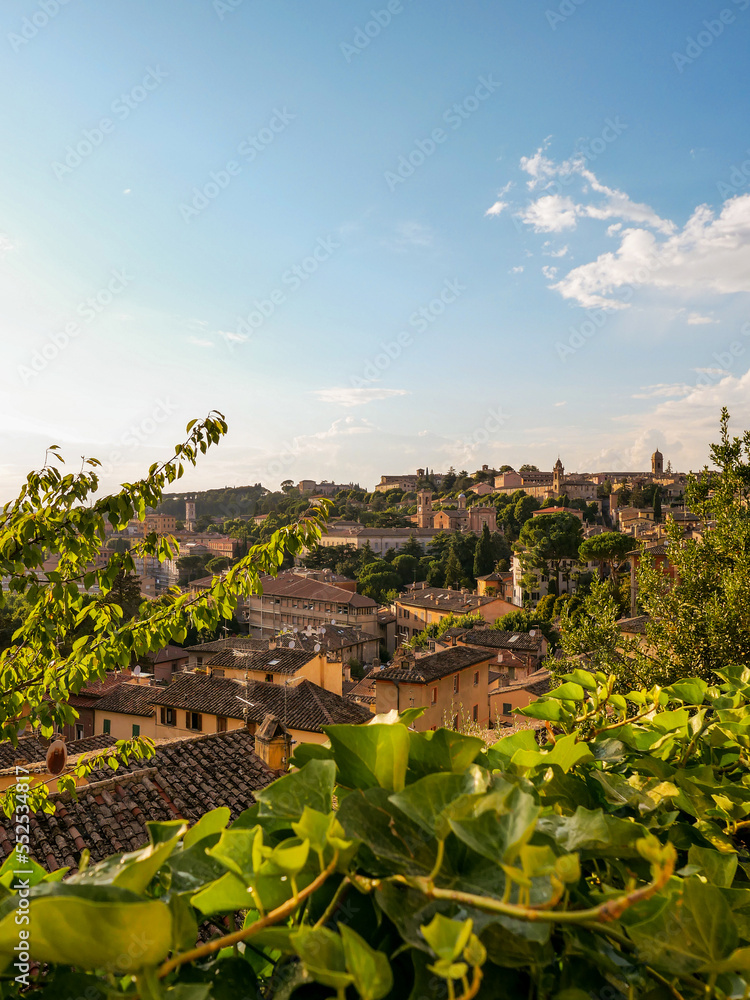 View of the city at sunset: you can see the roofs of houses and the tops of trees.