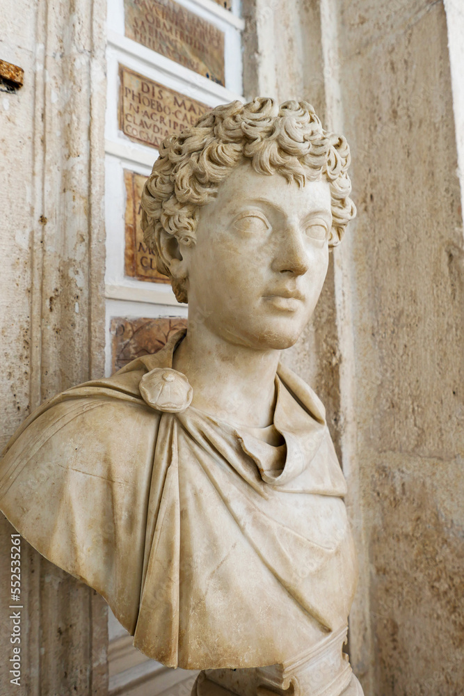A marble bust, with inscriptions in Latin behind it.