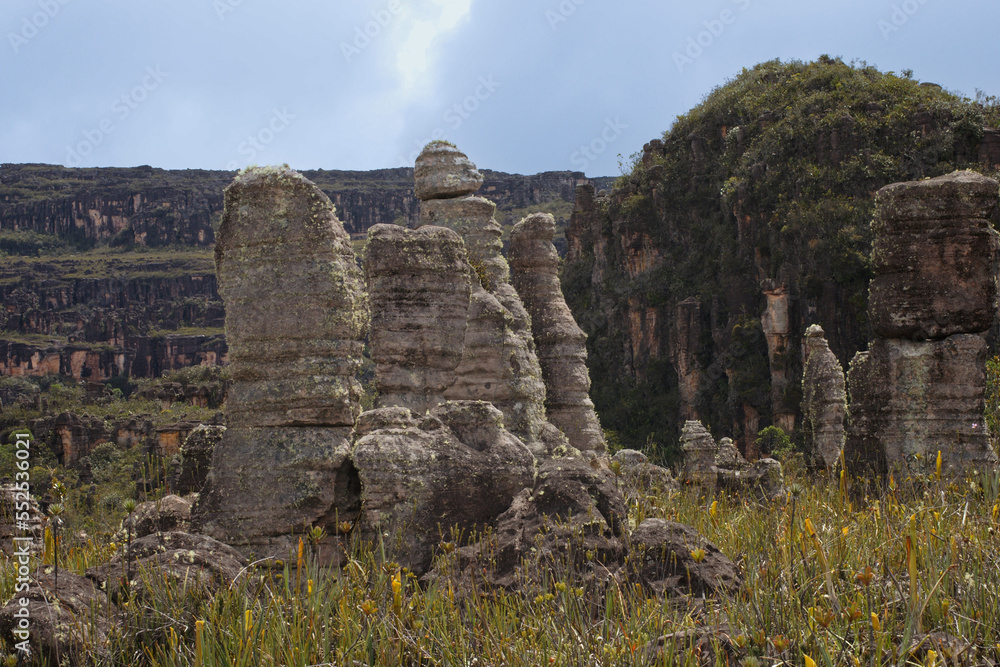 Scenery with sandstone rock formations, caused by erosion, on a plateau of Amuri Tepui, Venezuela