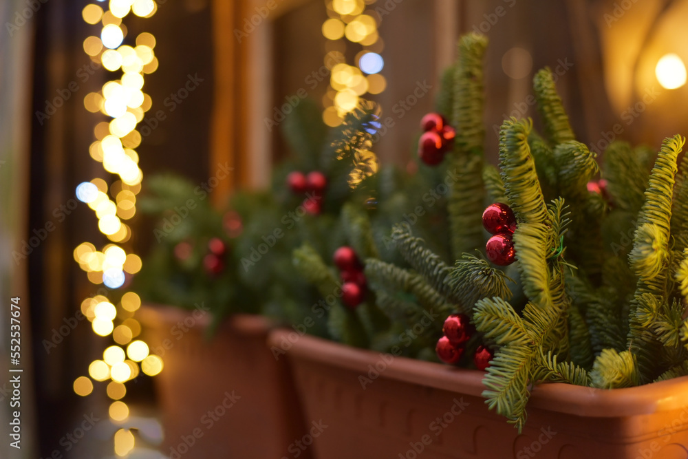Fototapeta premium Winter. Christmas tree on the background of the city