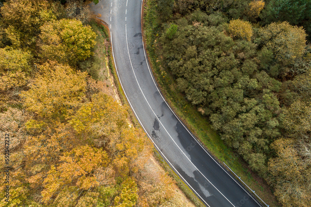 drone aerial view of a road and an oak forest in autumn, Spain