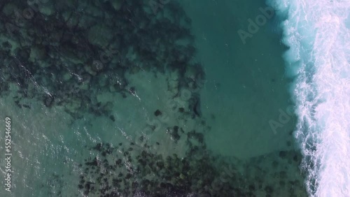 Top-down view of sharks swimming off the coast of Hadera Power Station, Israel photo