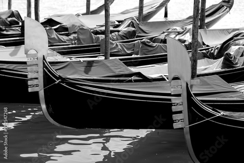 moored gondolas boats in black and white in Venice Italy