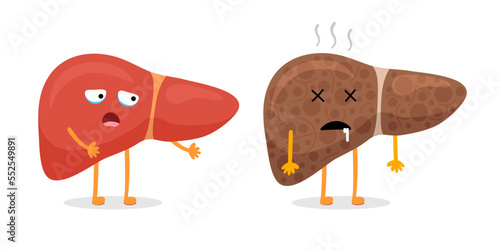 Liver character healthy and unhealthy comparison. Mascot good and bad condition. Cartoon exocrine system gland internal organ scared and illness sad. Strong and damaged insides. Vector illustration