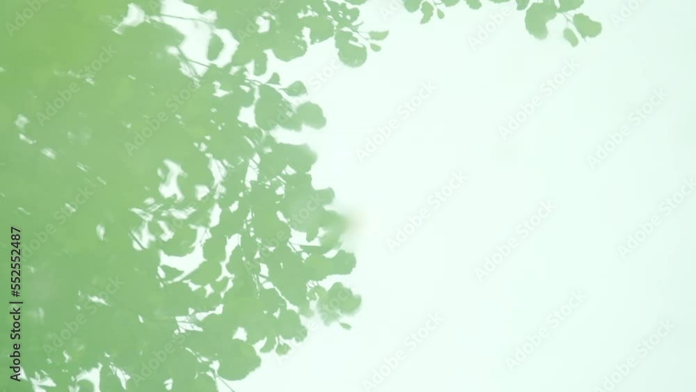 A relaxing view of water in a pond, clean, reflecting the blue sky and the green trees above. Slow motion overhead shot.
A relaxing view of water in a pond, clean, reflecting the blue sky and the green trees above. Slow motion overhead shot.