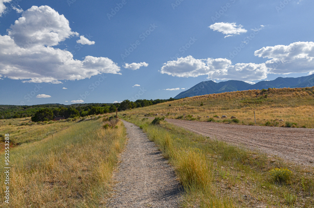 trail near Loyds Lake in Monticello (San Juan county, Utah)