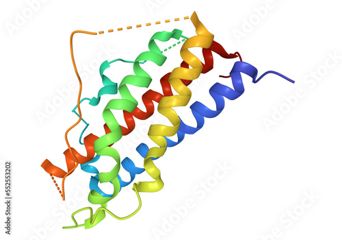 Картината върху платно Crystal structure of human placental lactogen, 3D cartoon mode