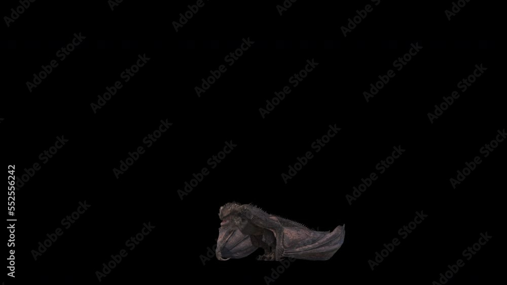 Realistic Dragon Landing Animation isolated on a black background.effect background footage motion graphics overlay 4K drag and drop editing software supporting blending modes ProRes 4444 codec, 25FPS Realistic Dragon Landing Animation isolated on a black background.effect background footage motion graphics overlay 4K drag and drop editing software supporting blending modes ProRes 4444 codec, 25FPS