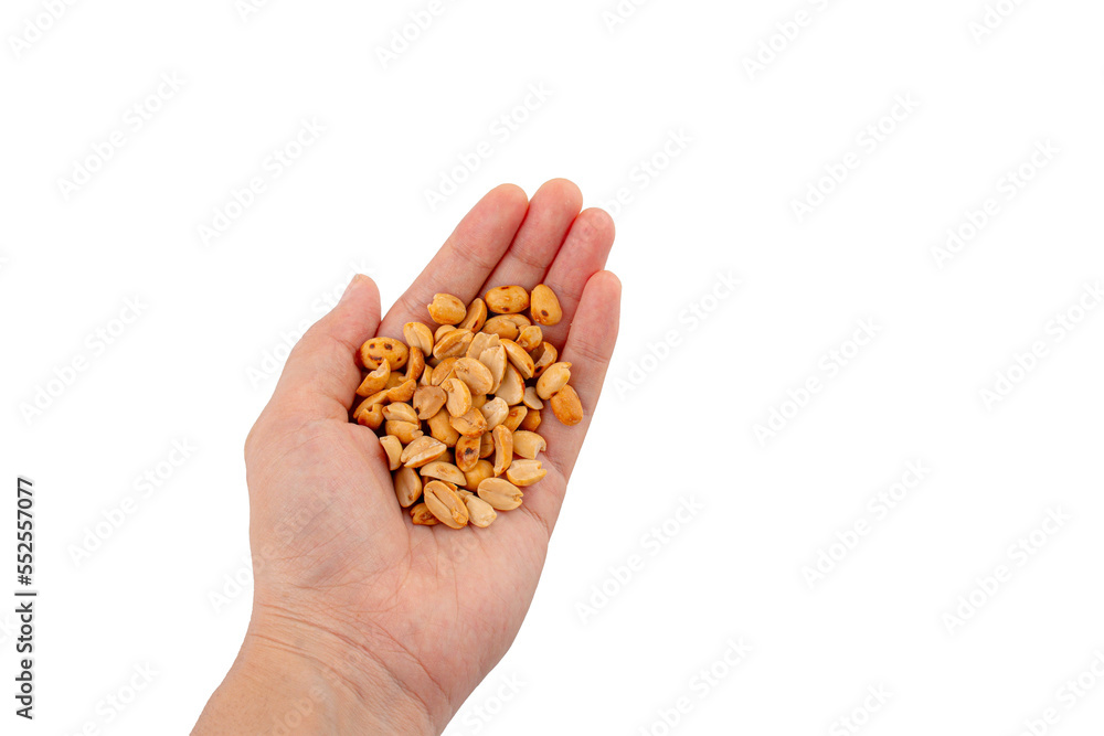 Hand holding heap of salt roasted peanuts on transparent background Hand holding heap of salt roasted peanuts on transparent background