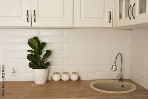 white Scandinavian-style kitchen with ficus on the table  kitchen details  kitchen utensils  wooden table  white ceramic brick wall background 