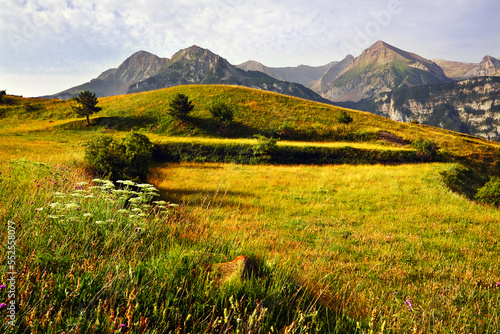 Pirineos