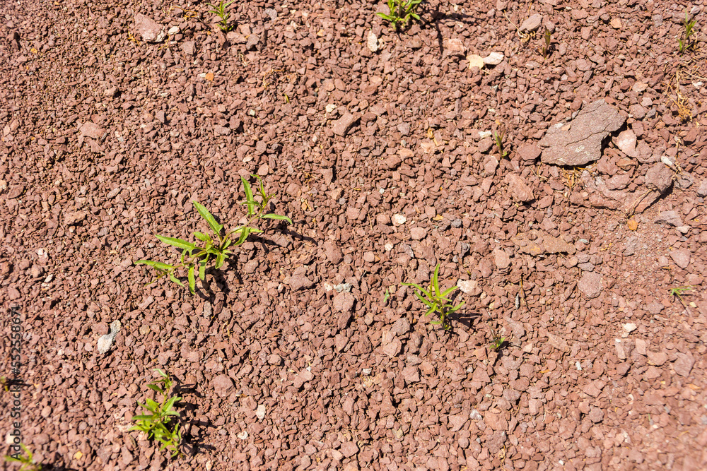 natural ground texture for background, wallpaper natural ground texture for background, wallpaper