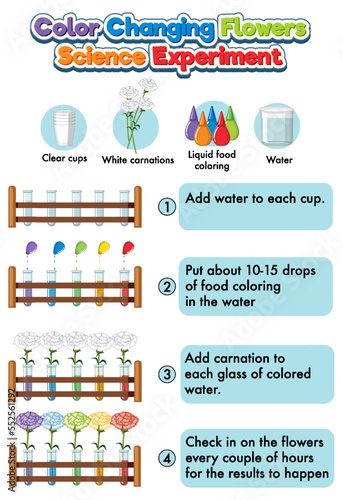 Color changing flowers science experiment