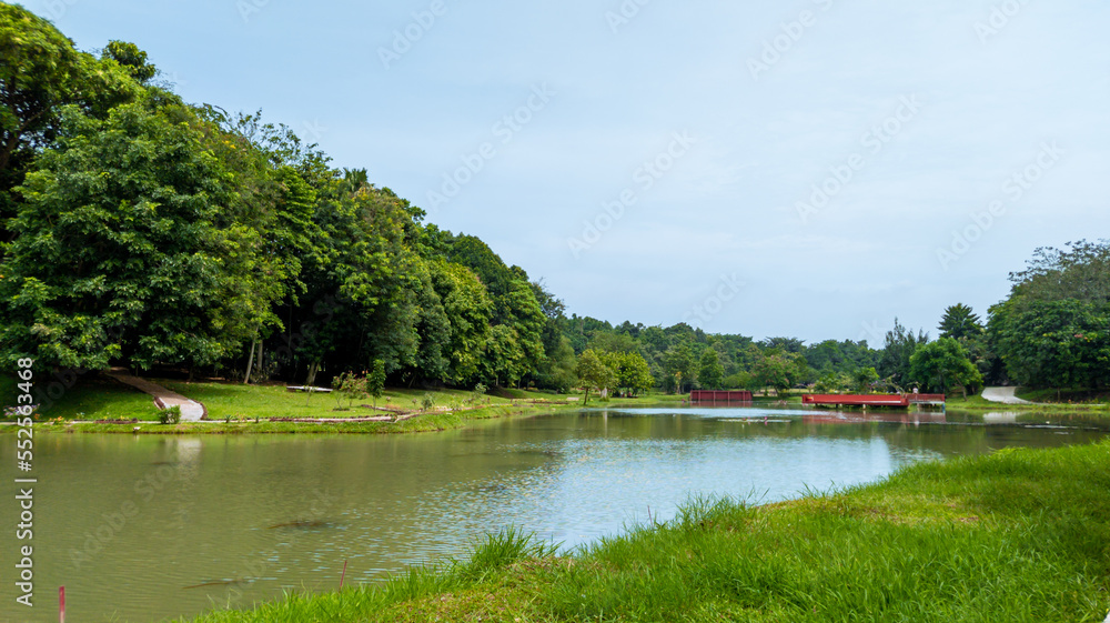 beautiful natural lanscape scenery, lake with wooden bridge, nature wallpaper, landscape background