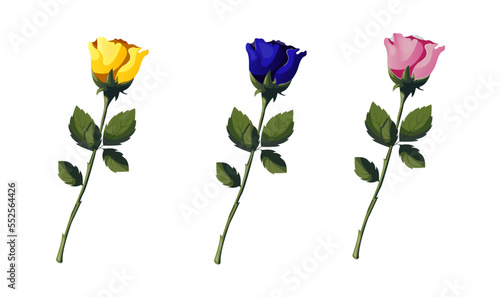 Set of white  yellow and blue roses on the white background. Isolated vector illustration for card  invitation  cover  design projects.