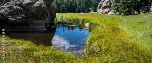 Sky and clouds reflected in pool of water in a lush meadow in the Valles Caldera National Preserve, New Mexico photo