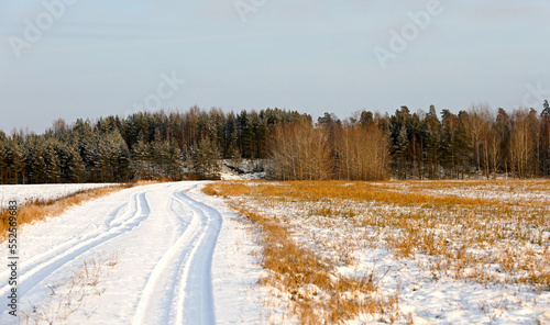 A cart road through snowy field in wintertime