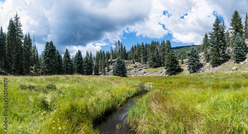 Stream through green meadow and mountains in the Valles Caldera National Preserve, New Mexico photo