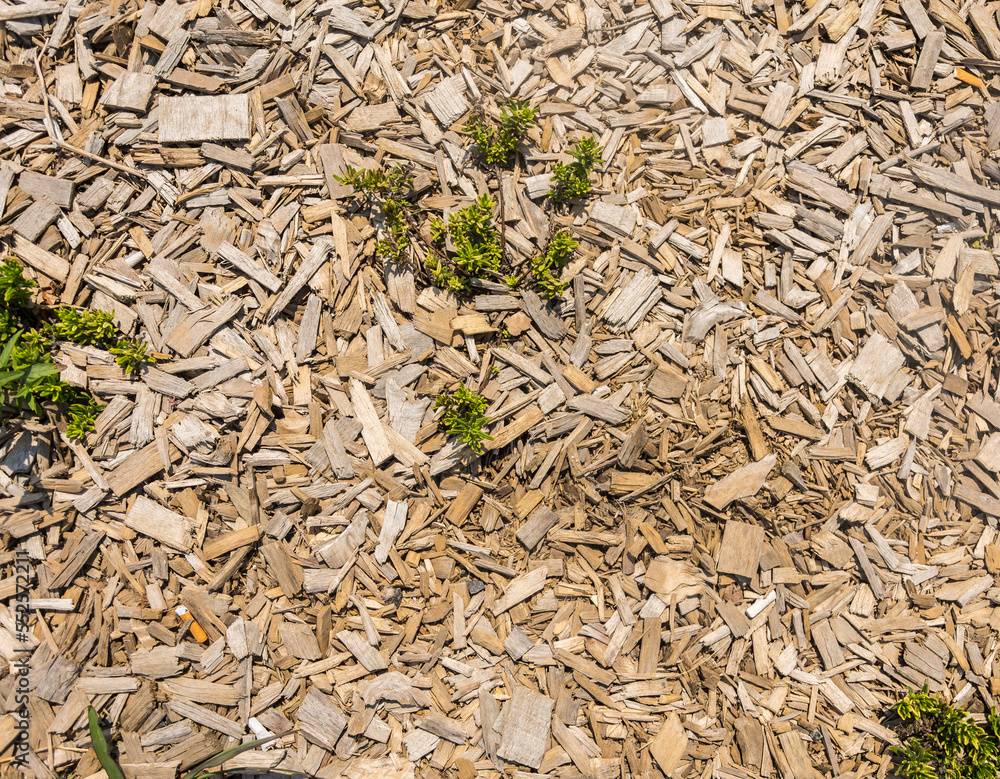 Wood chips texture for background, wallpaper Wood chips texture for background, wallpaper