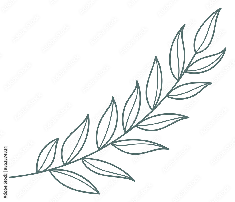 Hand drawn tree branch. Botanical line print Hand drawn tree branch. Botanical line print